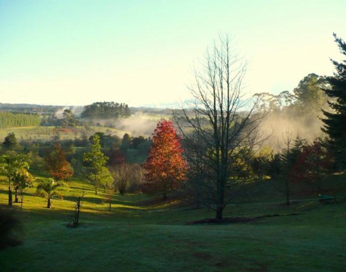 Puketotara Lodge Kerikeri Exteriör bild